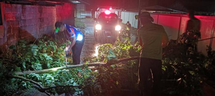 ออกสำรวจพื้นที่หลังฝนตกและมีลมพายุ